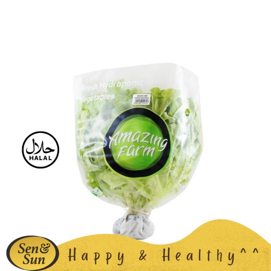 

Sen&Sun Hydroponic Green Oakleaf 250 gr