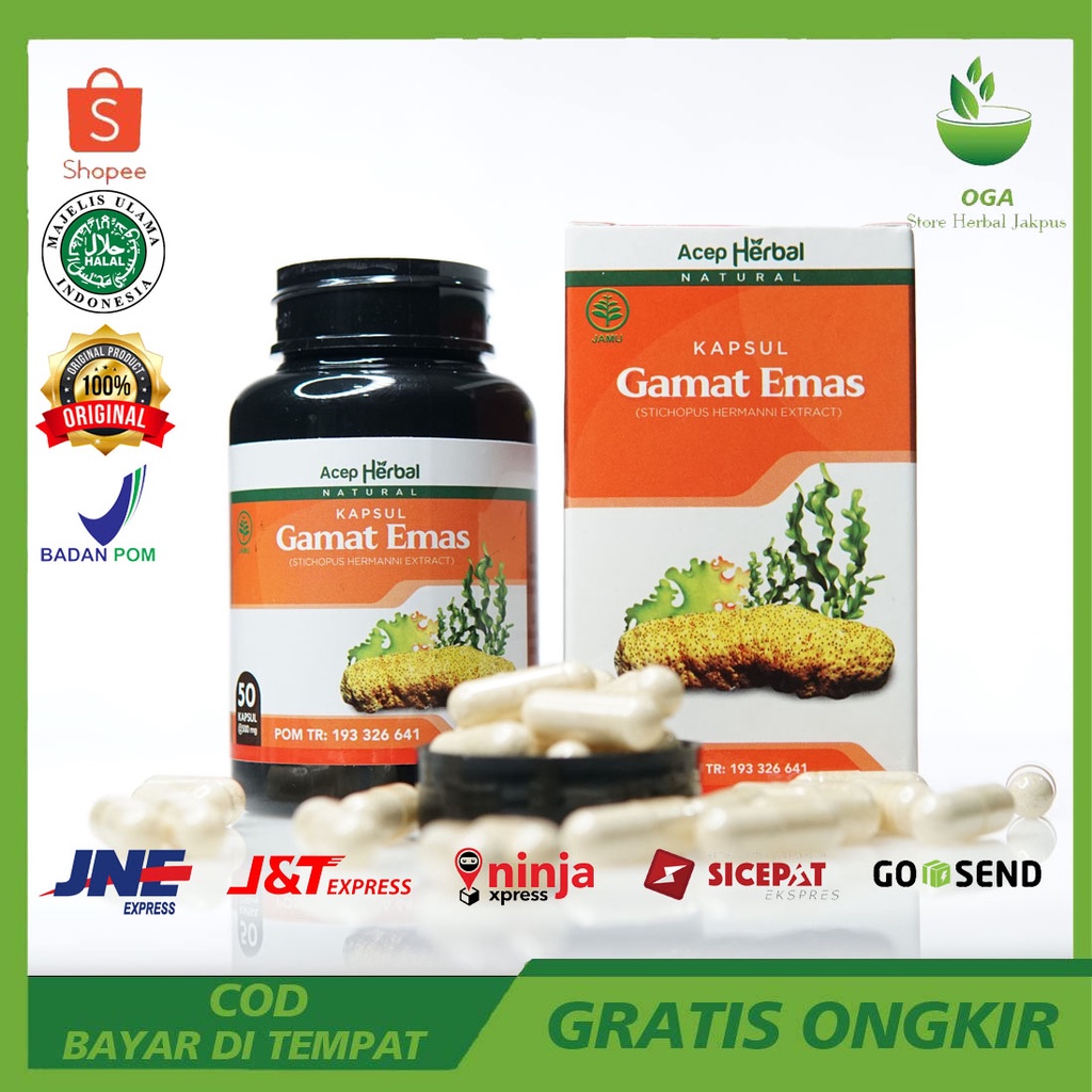Kapsul Gamat Emas Original Kapsul Gamat Gold Kapsul Gamad Emas Kapsul Gamat Herbal