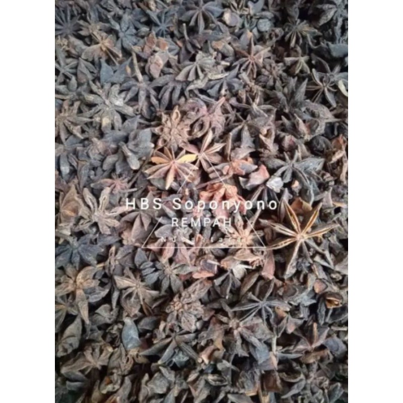 

Pekak/Bunga Lawang SOPONYONO DiKemas Renteng Super 50gr,100gr,250gr