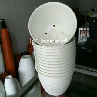 POT BUNGA  DAN TANAMAN  HIAS  PLASTIK  PUTIH 15CM Shopee  