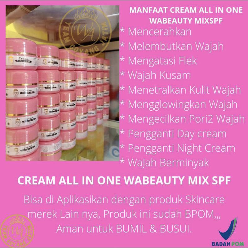 Wasila cosmetik Cream All In One ( AIO )