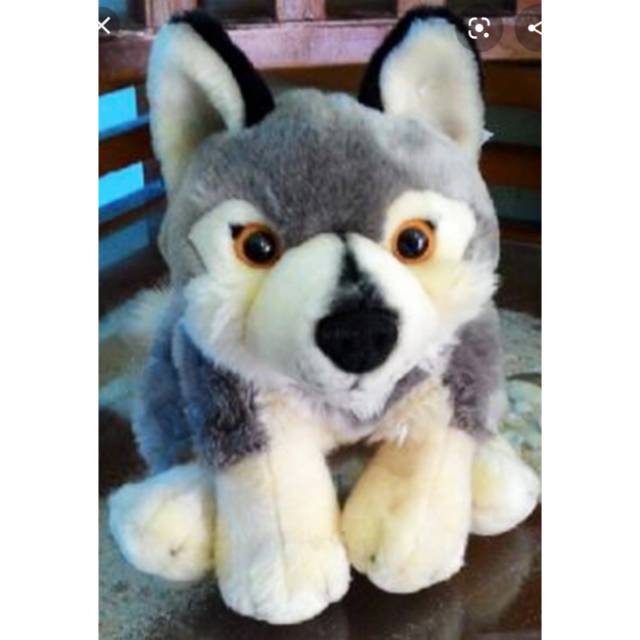 Boneka Anjing Husky Abu