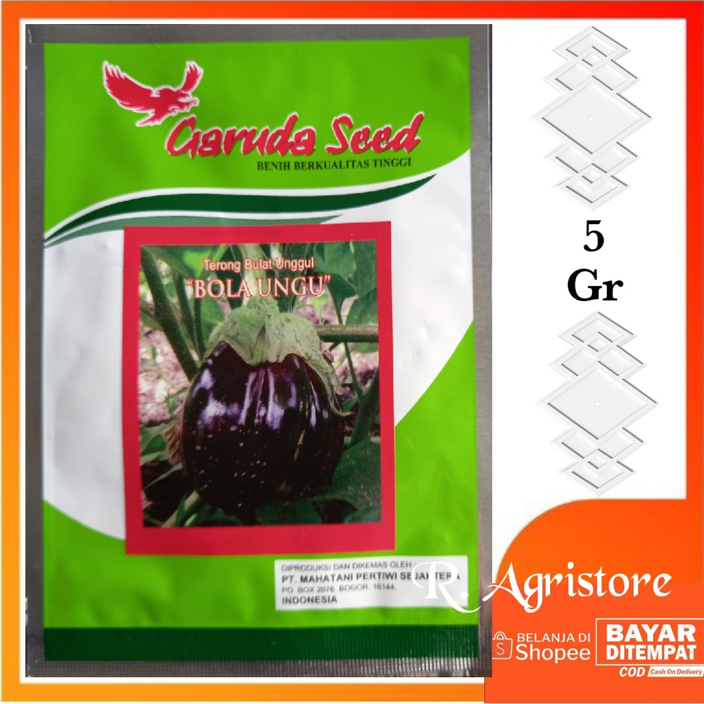 Bibit Terong Bulat Ungu BOLA UNGU Isi 5 Gram Benih Terong Bulat Ungu  Bibit Unggul Bibit Sayuran