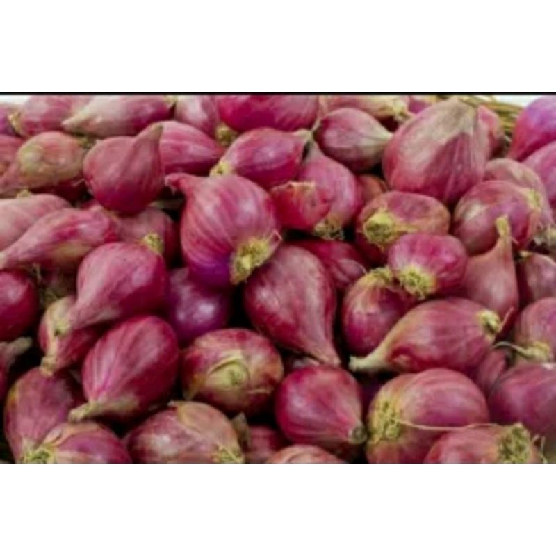 

bawang merah brebes 1/4 kg