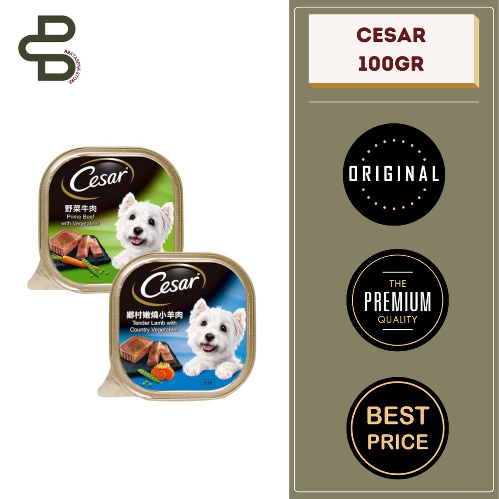 CESAR DOG WETFOOD 100 GR // MAKANAN BASAH ANJING