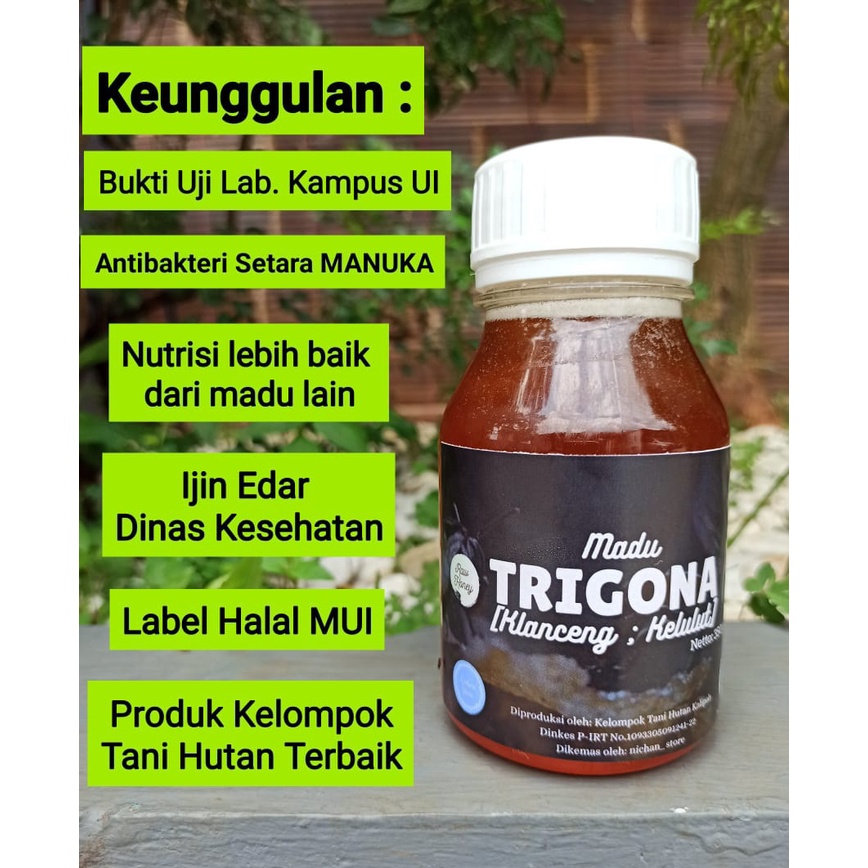 

Madu / madu murni / MADU TRIGONA 350 gram