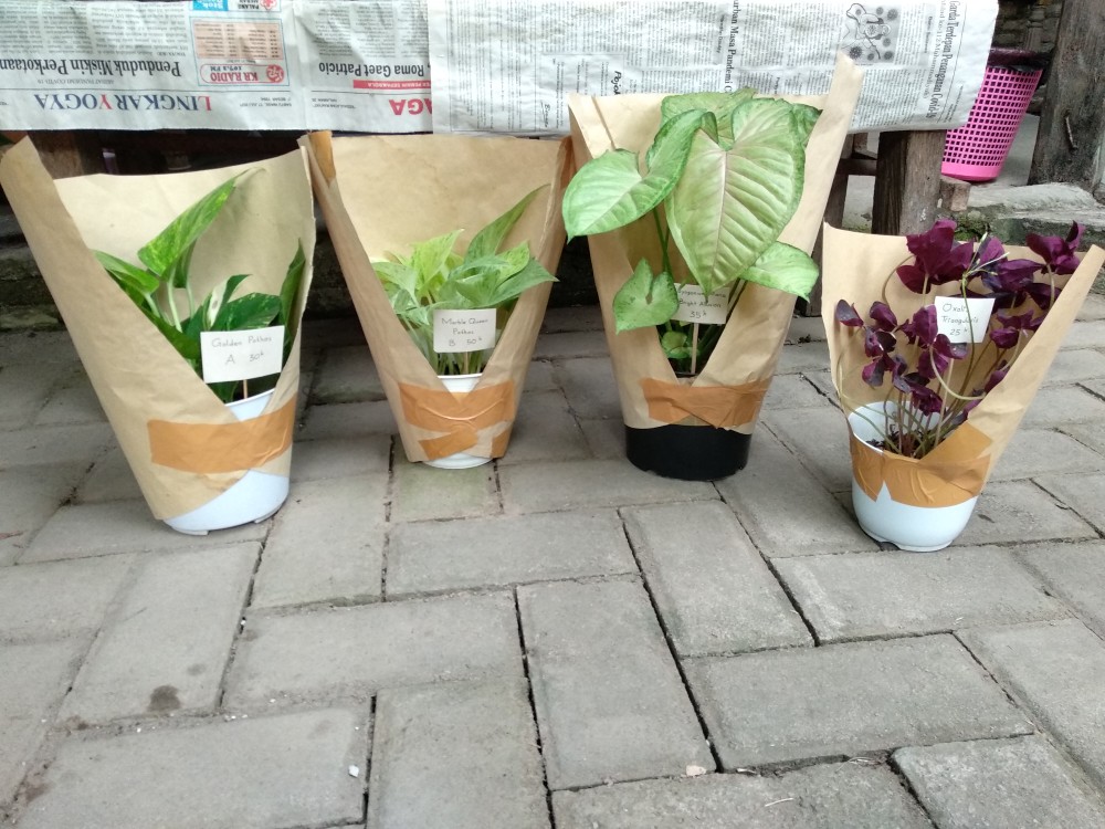 Botol Pet 250 Ml + Tutup Trigger Sprayer