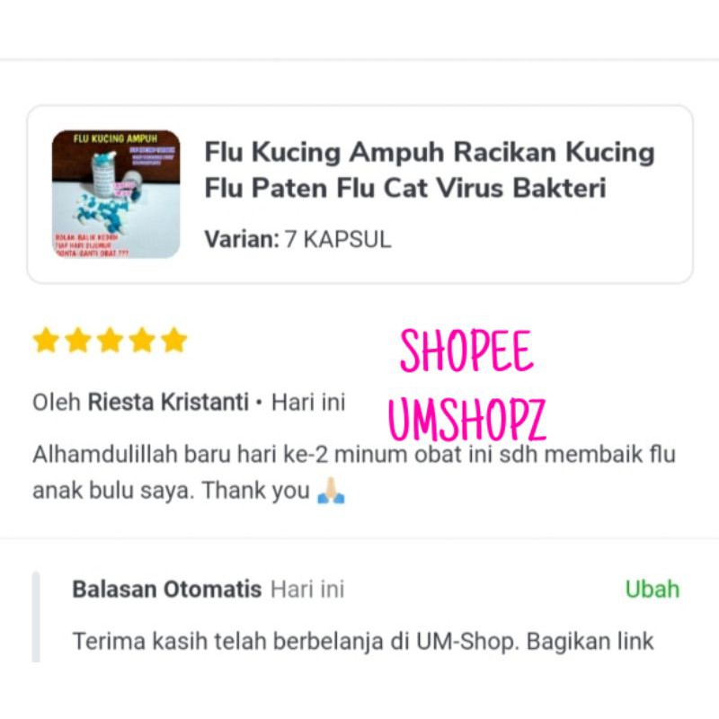 Flu Kucing Ampuh Paten Flu Care Kucing Flu Paten Flu Cat Virus Bakteri Kucing