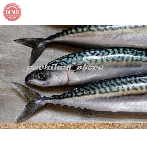 

IKAN MAKAREL KUWALITAS SEGAR DAN BERGARASNI3