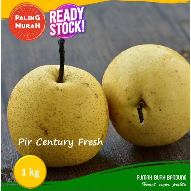 Pear Century 500 g Manis dan Renyah