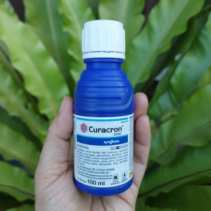 CURACRON 500EC INSEKTISIDA 100ml anti hama kutu daun, ulat grayak, lalat buah, ulat tanah, penggerek batang dll