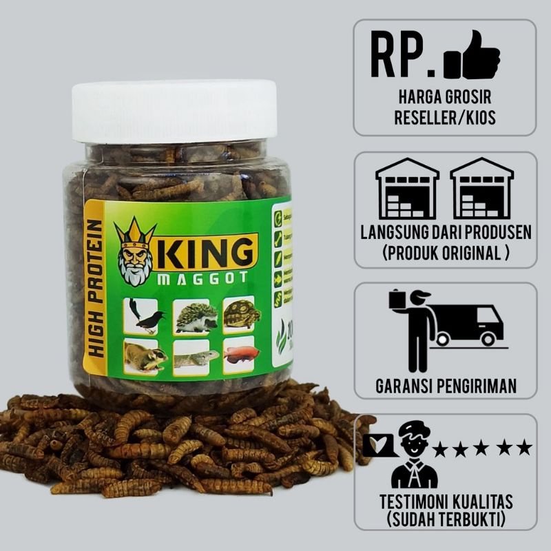 King Maggot Super Magot Pakan Tambahan Gecko Burung Ikan Hamster 50gram