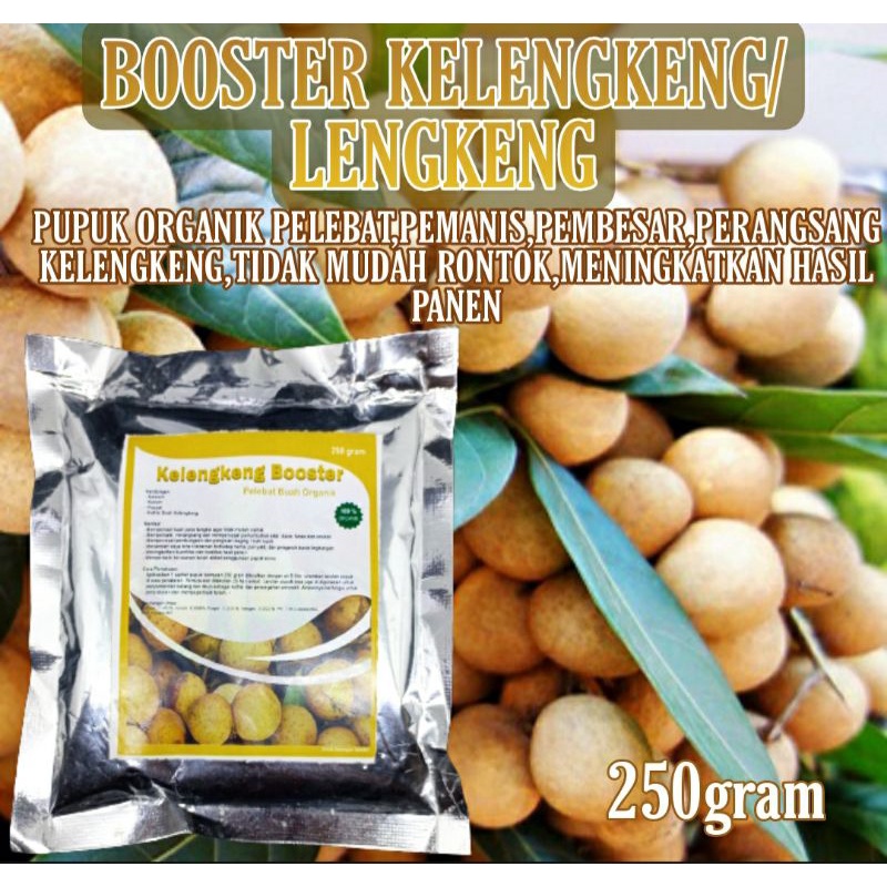 Pupuk Organik Booster Pelebat Kelengkeng Bunga dan Buah lengkeng Anti Rontok,Pelebat Klengkeng