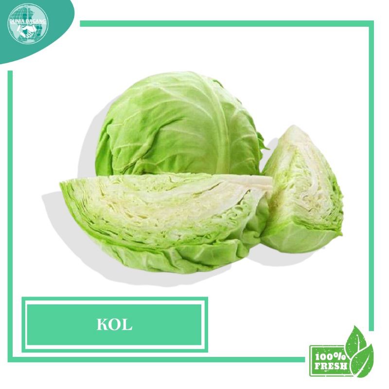 

DD - Sayuran Segar Sayur FRESH KOL 250 gr Murah