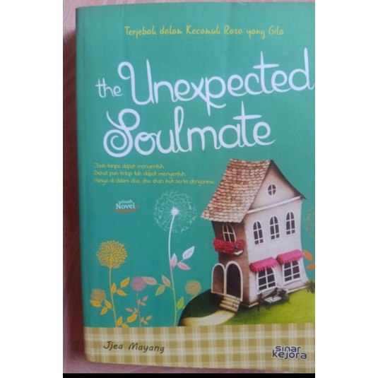 NOVEL THE UNEXPECTED SOULMATE