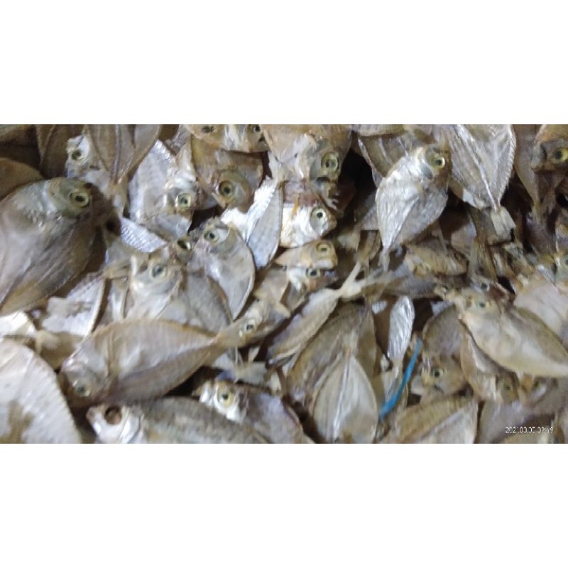

IKAN KERING IKAN ASIN DODOK KECIL KWALITAS SUPER ASLI MADURA