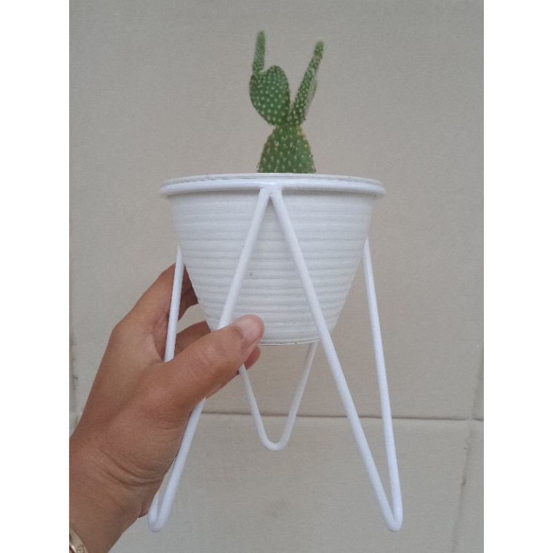 Standing POT MINI Planter / RAK MINI ,POT MINI UK Tinggi 15cm, D10cm