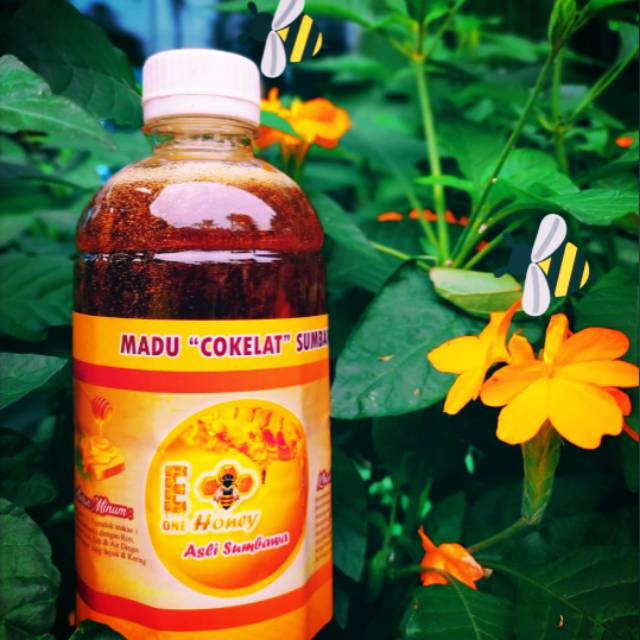 

Madu Coklat sumbawa kemasan 500ml isi 700gram