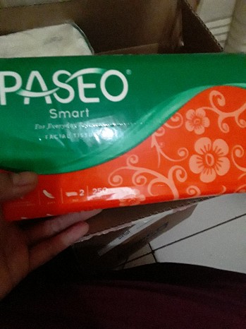 Paseo Tissue Soft Pack 250s
