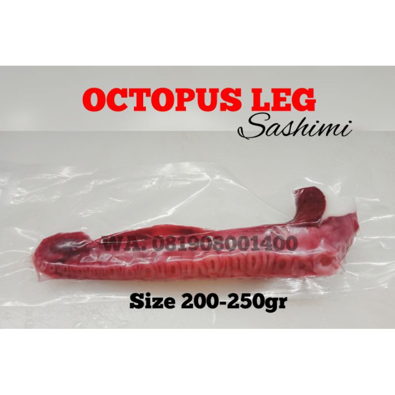 

Octopus Leg / Tako Leg / Tentakel Gurita per Potong Sashimi