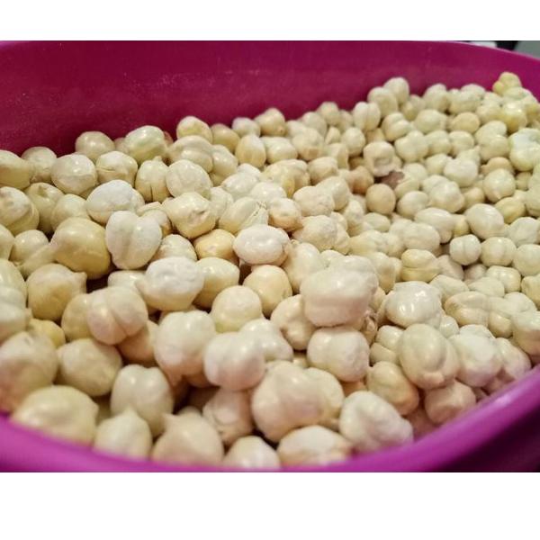 

Xzn55 Kacang arab Super ukuran 1 kg .,,.,.,