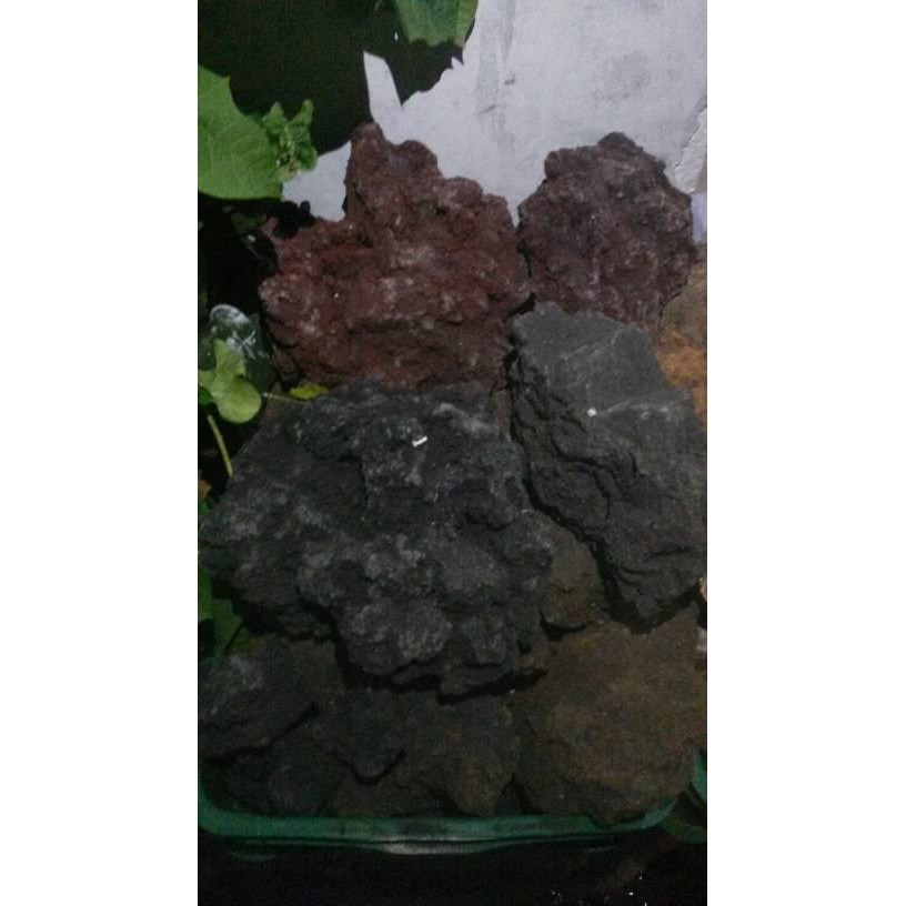 0P56- Lava Rock Merah Dan Hitam