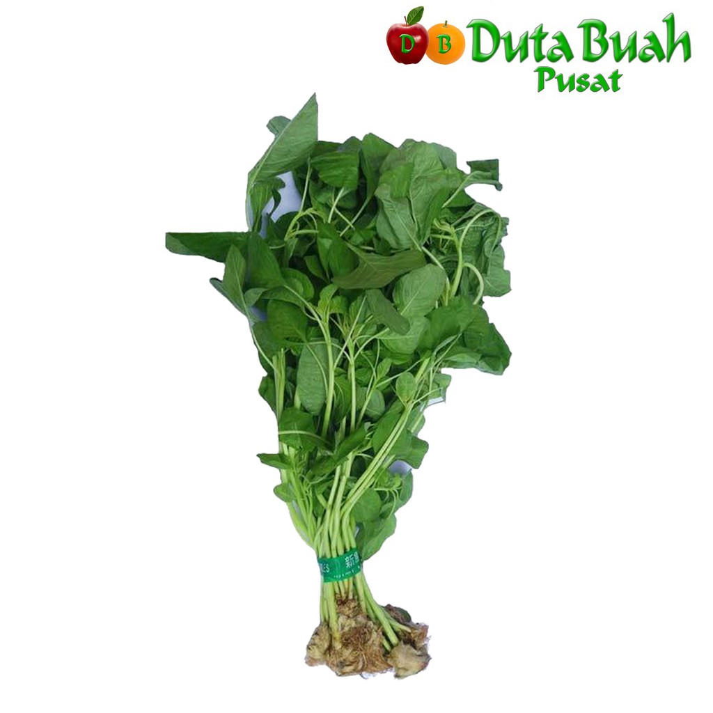 

DUTA BUAH Bayam Hijau Hydroponik (-+250G)