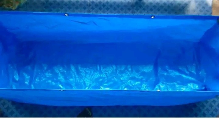 Terpal Kolam Petak A5 Kolam Terpal Terpal Plastik