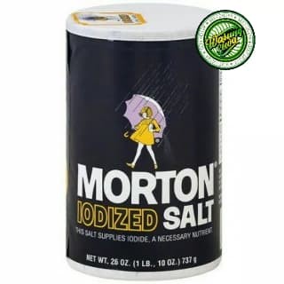 

garam import morton iodized salt original 737 gram