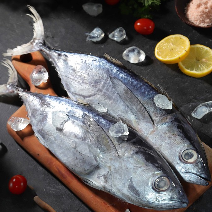Ikan Tuna Segar  - Baby Tuna Utuh Besar