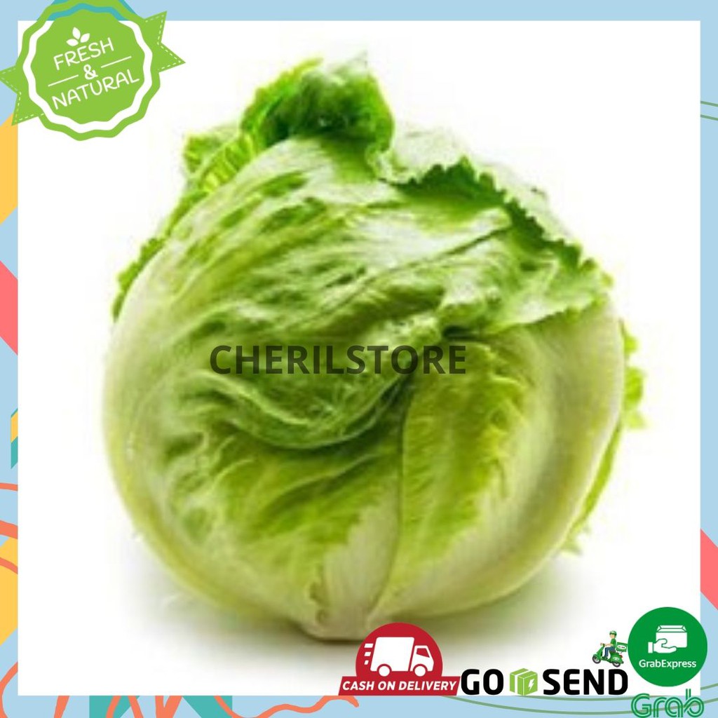 

LETTUCE HEAD 500 gram SAYUR SAYURAN ONLINE SURABAYA