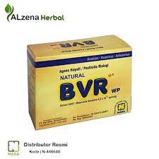 COD NATURAL BVR Pestisida Organik BVR Beauveria Bassiana Nasa 100 Gr obat hama ampuh Natural BVR Nas