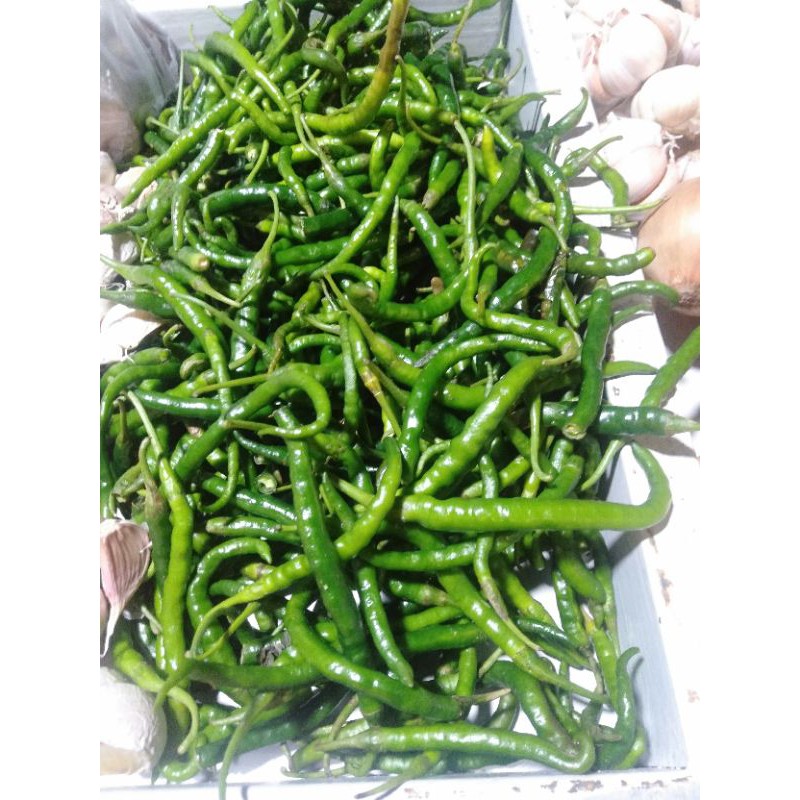 

Cabe keriting ijo (250gr)