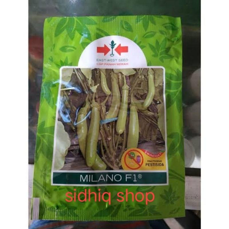 benih terong hijau milano f1 1.100 butir