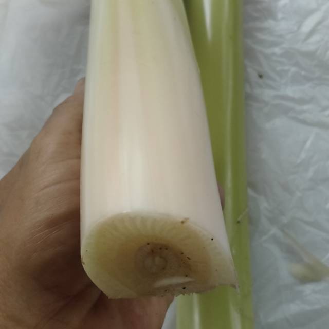 

Umut pisang kluthuk 1 kg segar