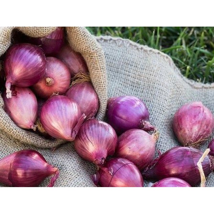 

Bawang merah Segar 500 gram