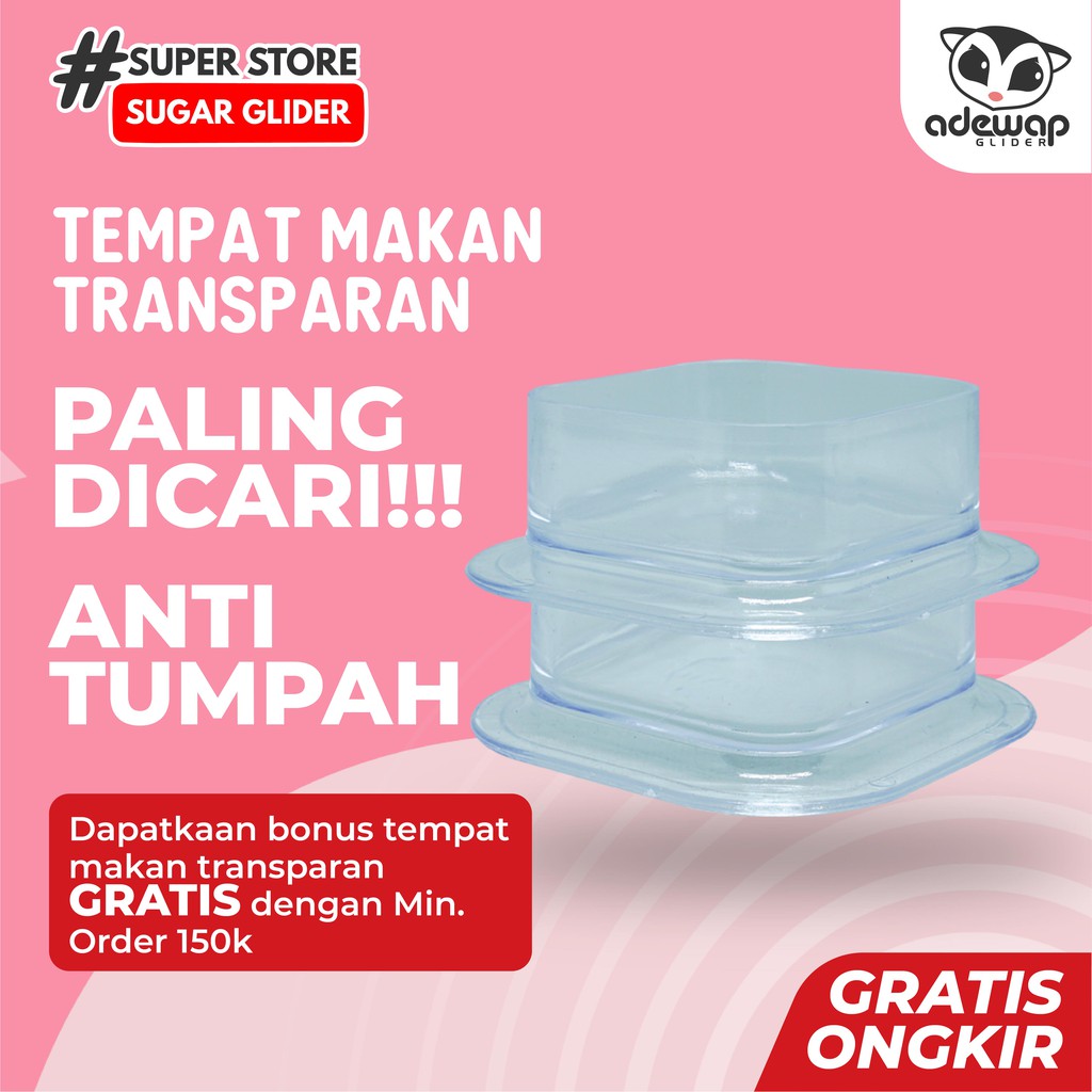 ADEWAP GLIDER Tempat Makan Bening Sugar Glider