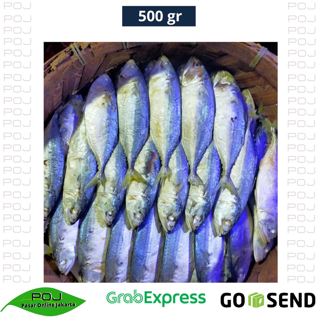 

Ikan Gembung Rebus Medan Ikan Kembung Rebus 500 gr✓Ikan Gembung✓Ikang Gembung Rebus Segar✓POJ