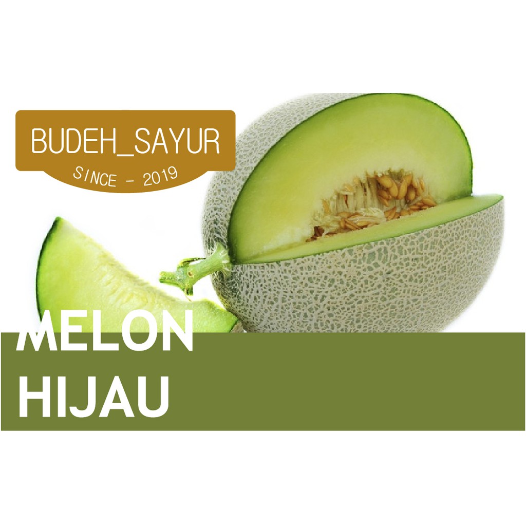 

Buah Melon segar