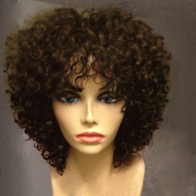 Short Side Bang Shaggy Afro Curly Synthetic Wig