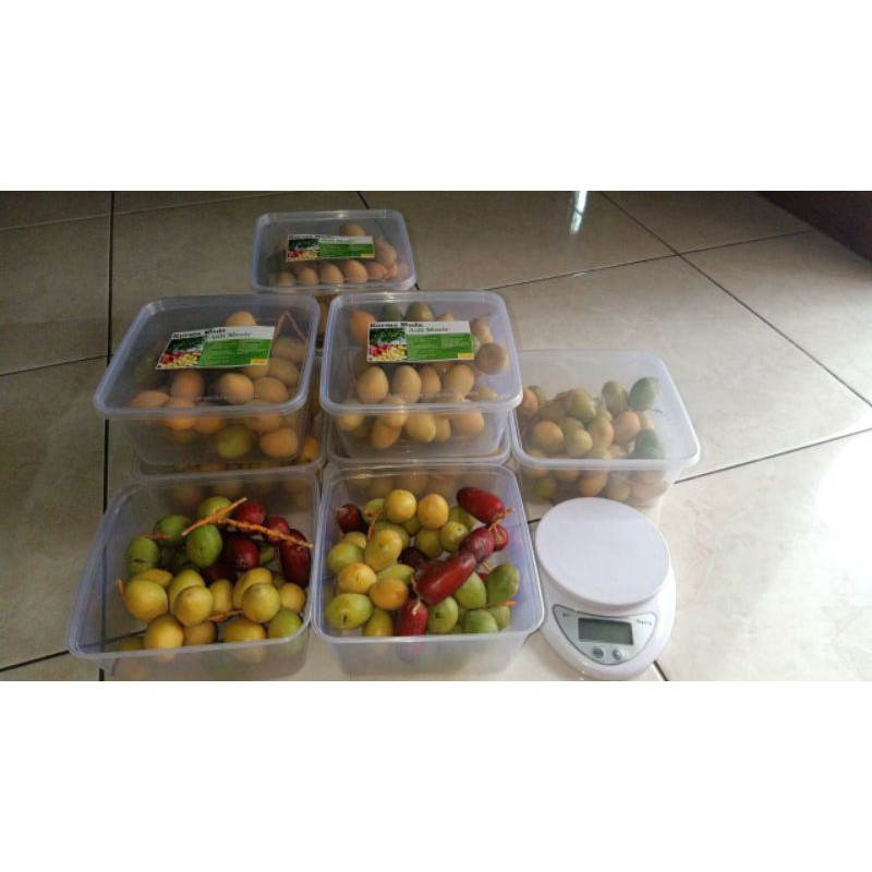 

kurma muda pelangi 500gr