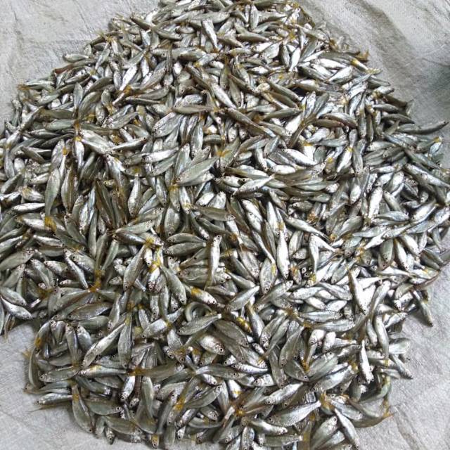 

Ikan bilih Danau Singkarak