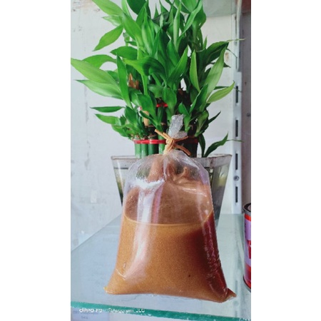 

petis super madura kemasan 1/4,1/2,1kg