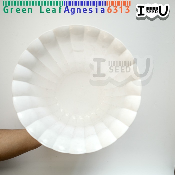 Pot Putih 21cm Agnesia - Green Leaf