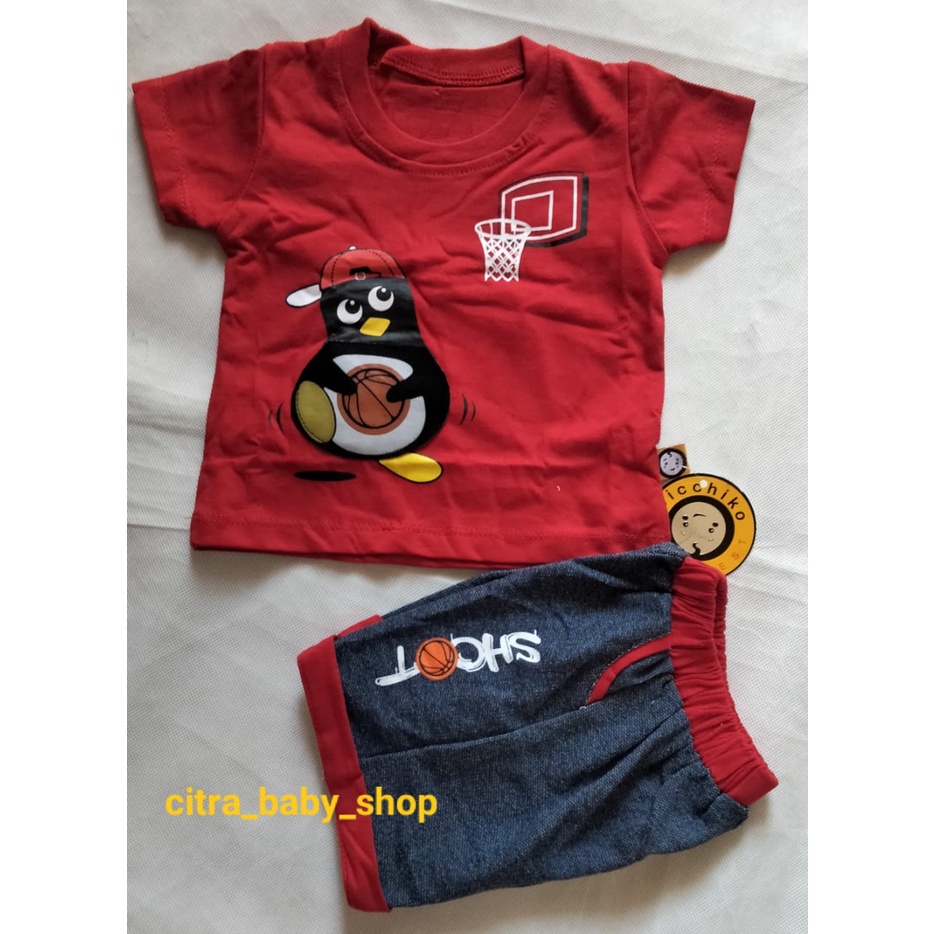 Setelan Kaos Anak Cowok Usia 12 Bulan Impor Motif Pinguin