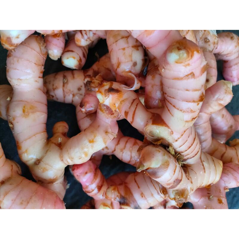 Lengkuas bin laja 1kg