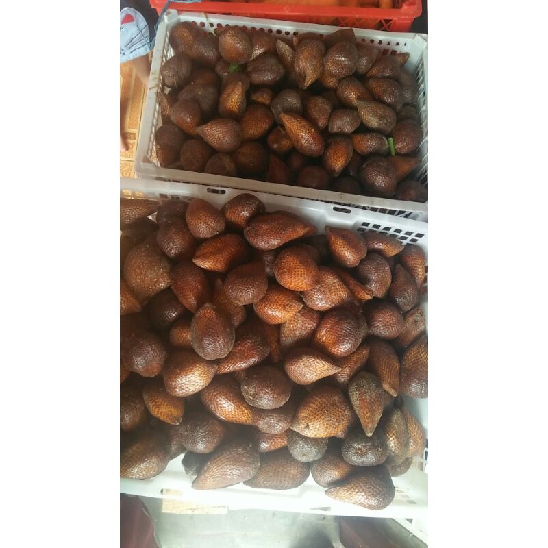 

salak pondoh