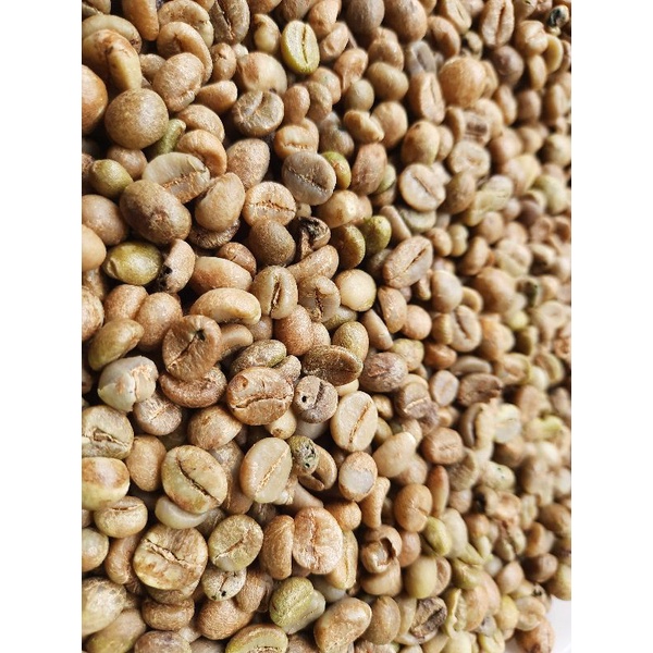 green bean   biji kopi mentah robusta tanggamus lampung 1kg 1 kg asalan