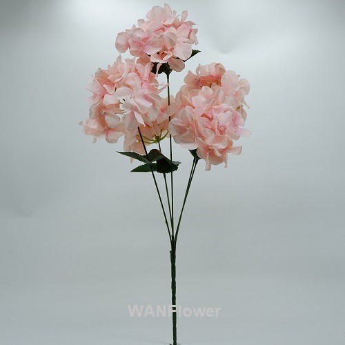 WANFLOWER Bunga Hydrangea Hortensia X5K * SALEM