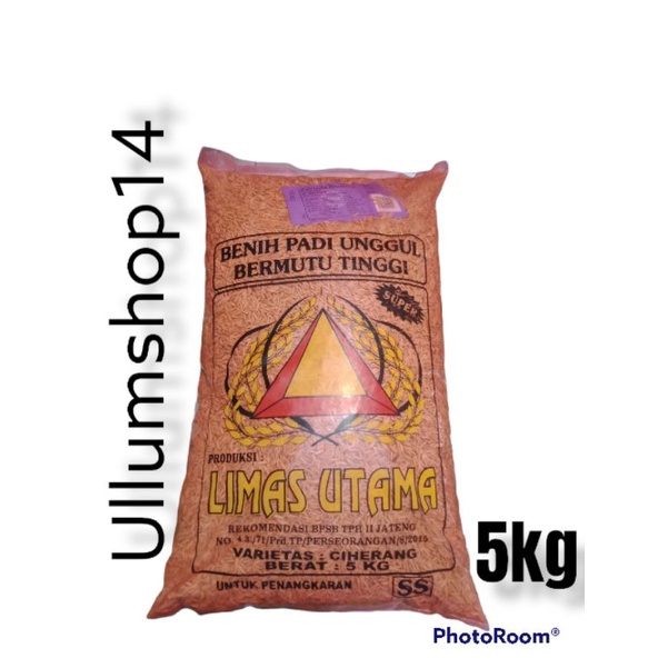 benih padi Ciherang ss 5kg bersertifikat